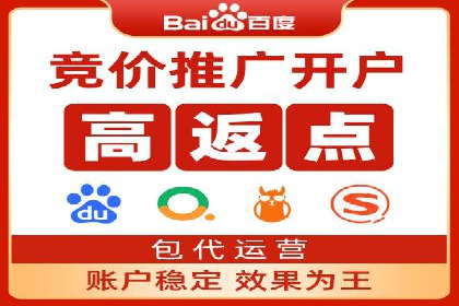 SEM搜索引擎优化策略解析与应用案例